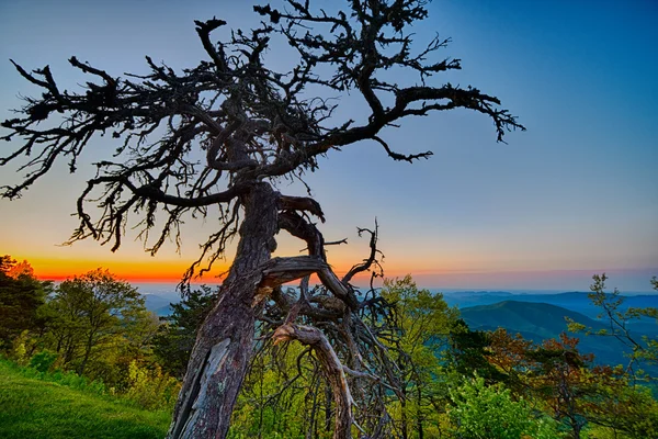 Primavera a Scenic Blue Ridge Parkway Appalachi Smoky Mount — Foto Stock