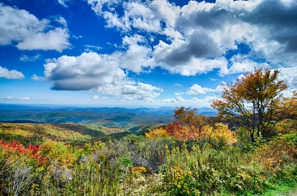 在风景秀丽的 Blue Ridge 大道阿巴拉契亚黑烟山的春天 — 图库照片