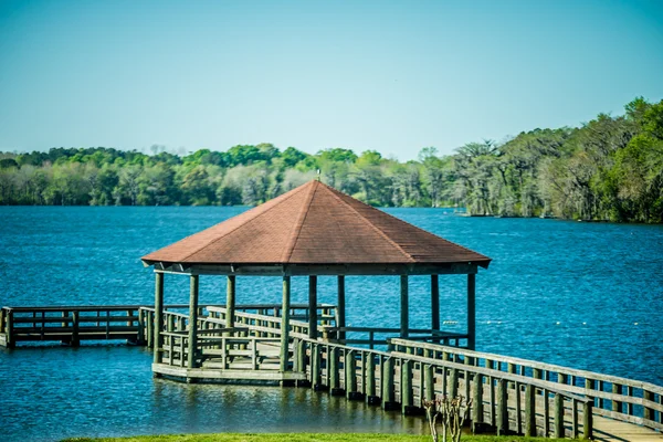 Landschaft um Florala Alabama — Stockfoto