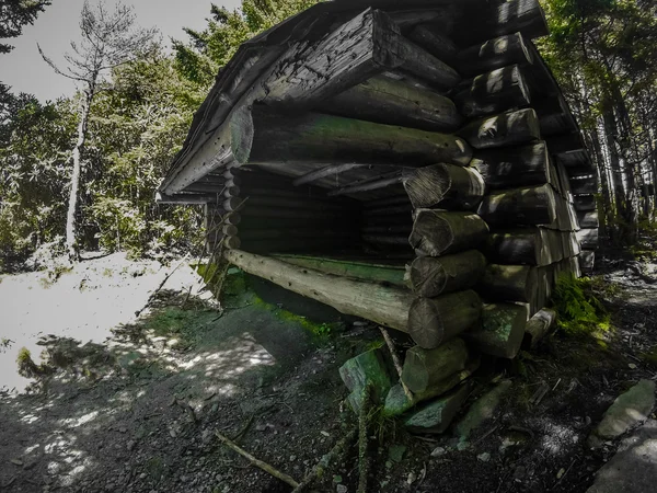 Natuur trail scènes naar Calloway piek noorden Carolina — Stockfoto