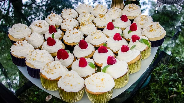 Full plate of cup cakes on party table — Stock Photo, Image