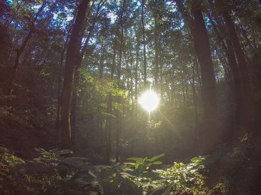 sahneleri appalachian iz dumanlı dağları boyunca Kuzey carolina