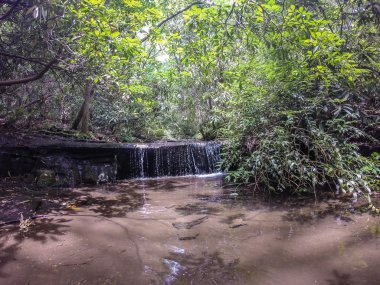 trailat tablo rock dağ Güney caro hiking boyunca manzaralar