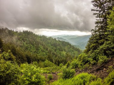 sahneleri appalachian iz dumanlı dağları boyunca Kuzey carolina