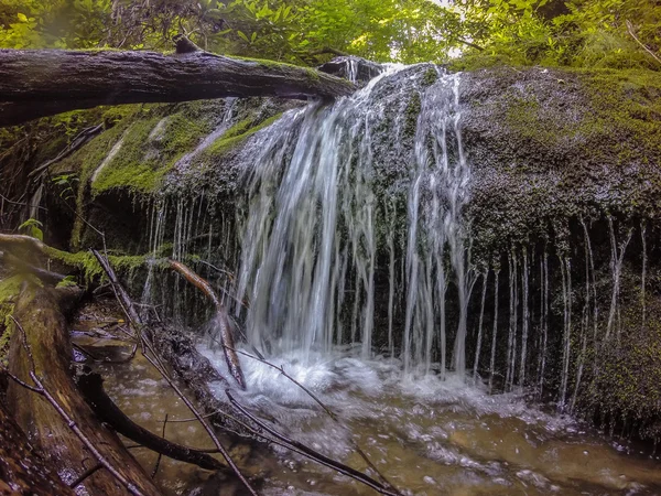 Scenes along appalachian trail in smoky mountains north carolina — Stock Photo, Image