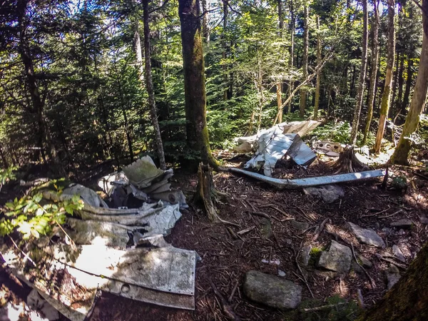 Oude vliegtuigcrash oplost langzaam in het bos — Stockfoto
