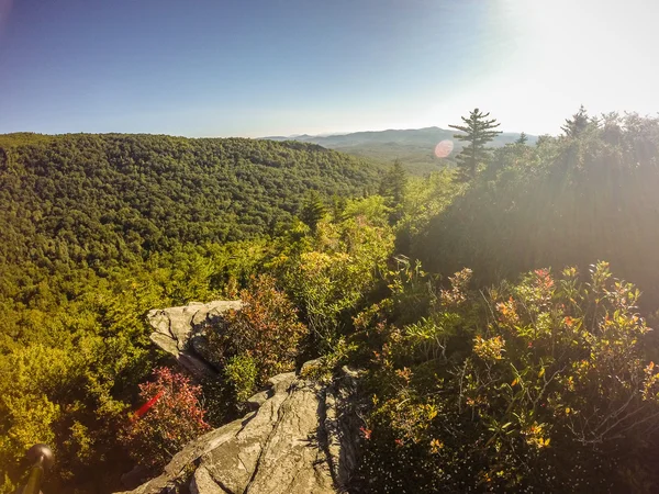 Escenas de senderos naturales a calloway pico norte carolina —  Fotos de Stock