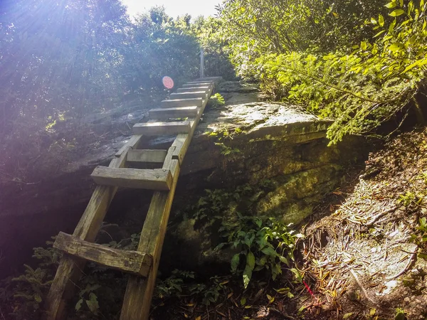 Naturlehrpfad zum Calloway Peak North Carolina — Stockfoto