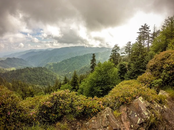 Scény na Appalačské stezce v regionu smoky mountains Severní Karolína — Stock fotografie