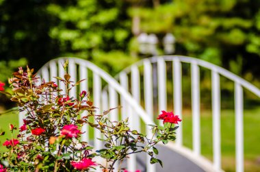 gasden gölet üzerinde beyaz çelik köprü