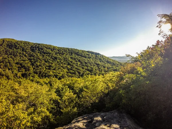 Natureza trilha cenas para calloway pico carolina do norte — Fotografia de Stock