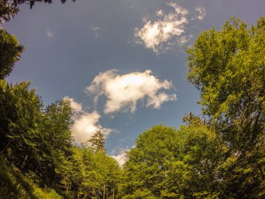 sahneleri appalachian iz dumanlı dağları boyunca Kuzey carolina