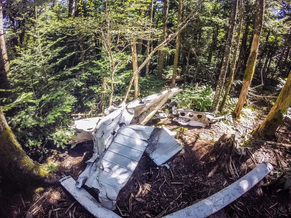 古い飛行機の墜落事故は森の中ゆっくりと溶解します。 — ストック写真