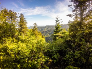 sahneleri appalachian iz dumanlı dağları boyunca Kuzey carolina