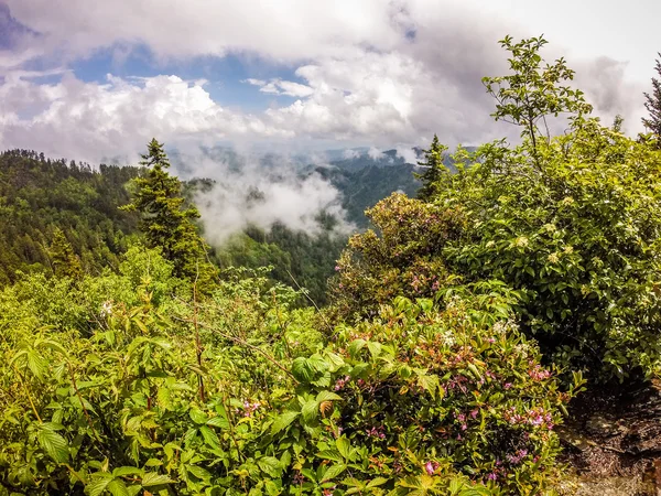 Szenen auf appalachischem Pfad in rauchigen Bergen nördlich Carolina — Stockfoto