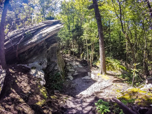 Escenas de senderos naturales a calloway pico norte carolina — Foto de Stock