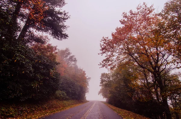 Autumn foggy day along blue ridge parkway — Stock Photo, Image