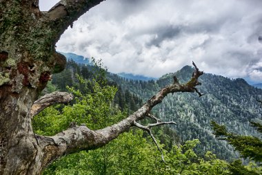 Büyük dumanlı dağlarda dehşet verici manzaralar.