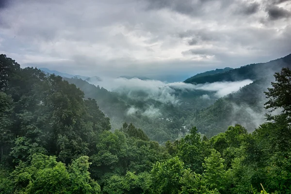 Szenen auf appalachischem Pfad in stark verrauchten Bergen — Stockfoto