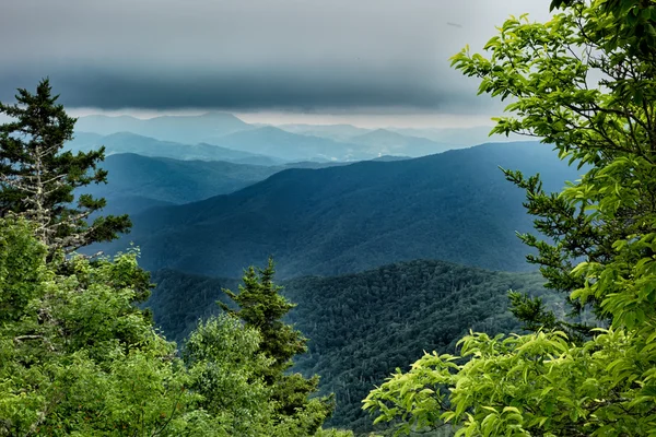 Cenas ao longo da trilha appalachian em grandes montanhas fumegantes — Fotografia de Stock