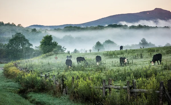 Mlha převalovaly blue ridge parkway zemědělské pozemky — Stock fotografie
