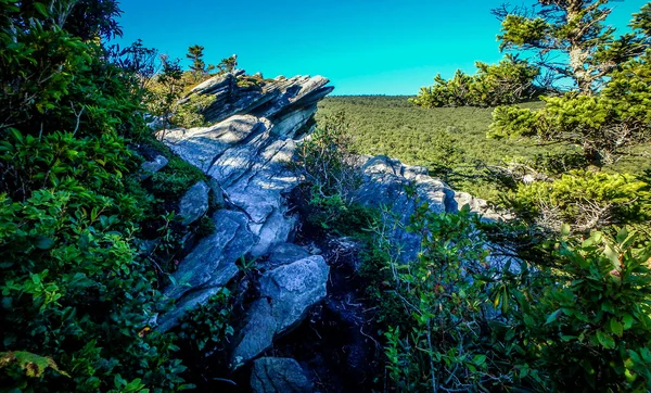 Nature sentiers scènes à calloway pic nord carolina — Photo