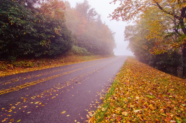 Sonbahar sisli gün boyunca blue ridge parkway — Stok fotoğraf