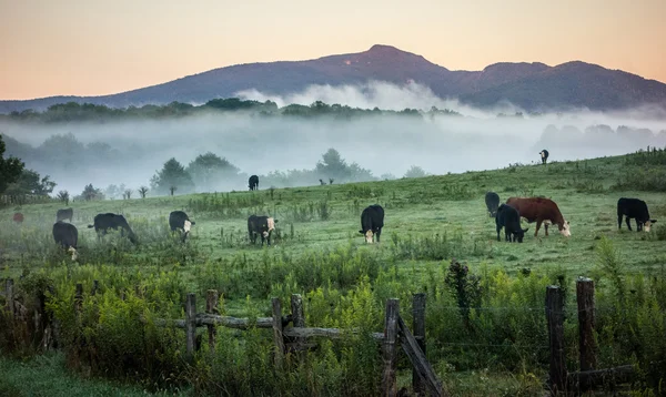 Nevoeiro rolando através de terras de fazenda cumeeira azul — Fotografia de Stock