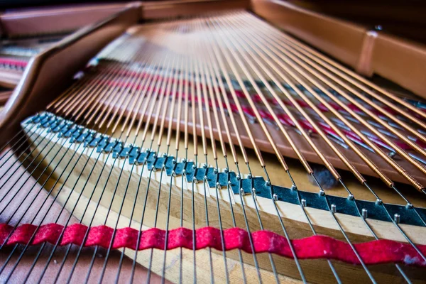 Відкриті струни піаніно і ноти — стокове фото