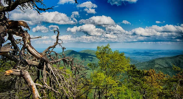 Jazdy przez wychodzi na wzdłuż blue ridge parkway — Zdjęcie stockowe