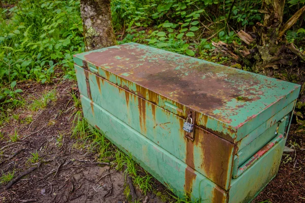 Cenas ao longo da trilha appalachian em grandes montanhas fumegantes — Fotografia de Stock