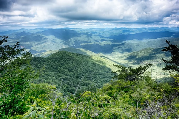 Escenas a lo largo de senderos apalaches en grandes montañas humeantes —  Fotos de Stock