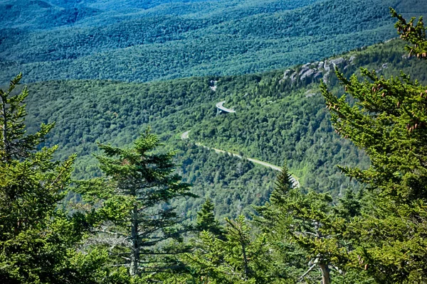 Nature sentiers scènes à calloway pic nord carolina — Photo