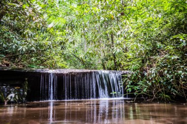trailat tablo rock dağ Güney caro hiking boyunca manzaralar