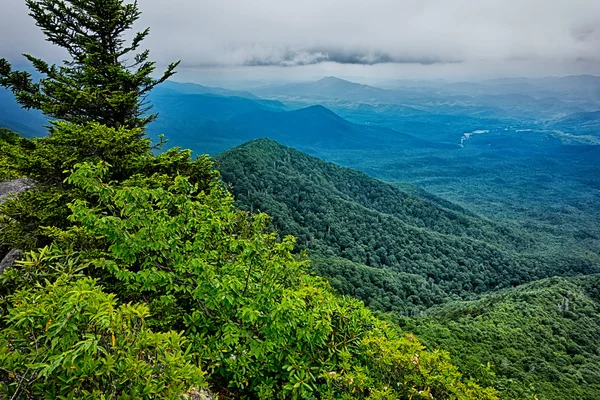 在烟雾弥漫的高山上，阿巴拉契亚小径上的场景 — 图库照片