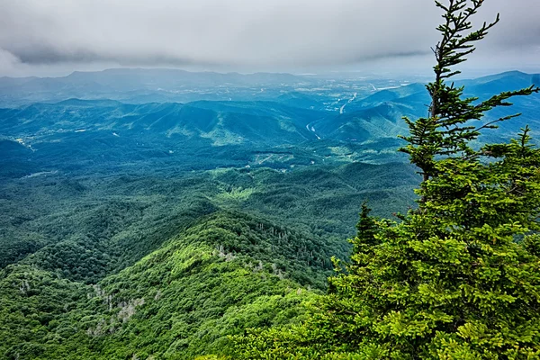 Cenas ao longo da trilha appalachian em grandes montanhas fumegantes — Fotografia de Stock