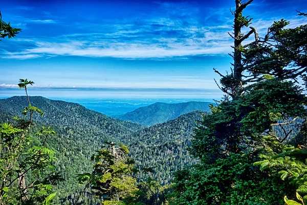 Scener längs appalachian spår i stora rökiga berg — Stockfoto