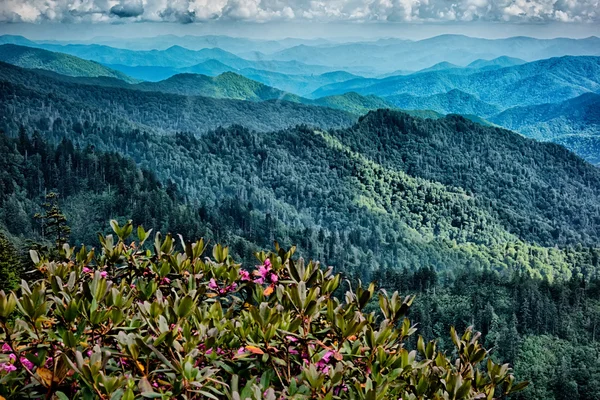 Cenas ao longo da trilha appalachian em grandes montanhas fumegantes — Fotografia de Stock