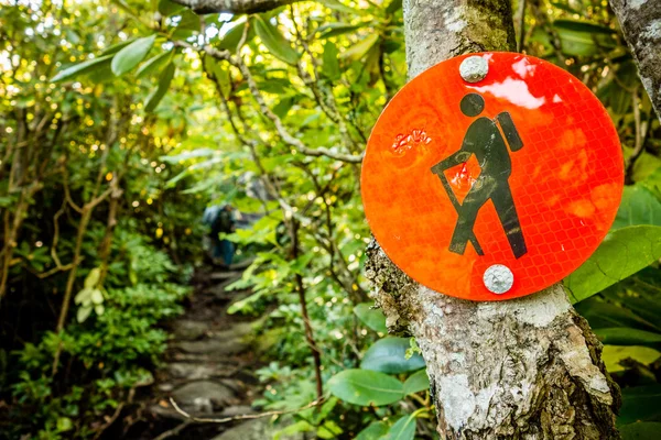 Nature trail scenes to calloway peak north carolina — Stock Photo, Image