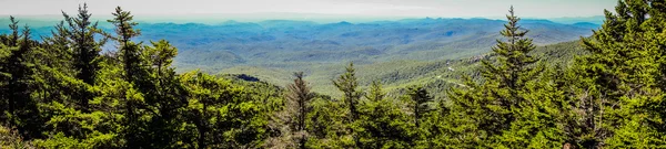 Natuur trail scènes naar Calloway piek noorden Carolina — Stockfoto