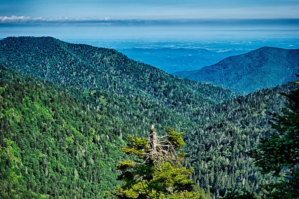Scènes langs appalachian trail in grote rokerige bergen — Stockfoto