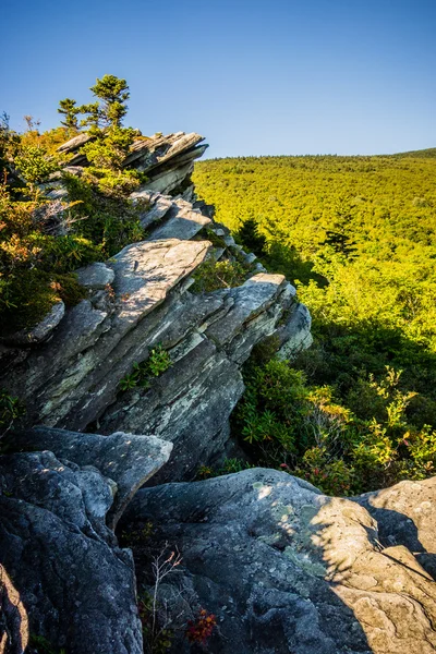 Natura szlak sceny do calloway szczyt Północnej Karoliny — Zdjęcie stockowe