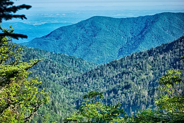 Scener längs appalachian spår i stora rökiga berg — Stockfoto