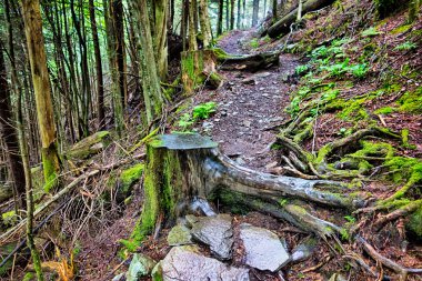 Büyük dumanlı dağlarda dehşet verici manzaralar.