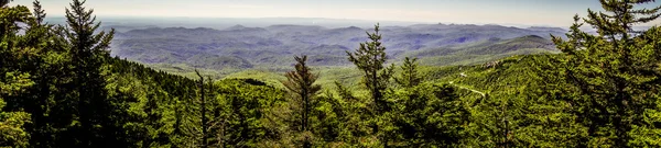 Natureza trilha cenas para calloway pico carolina do norte — Fotografia de Stock