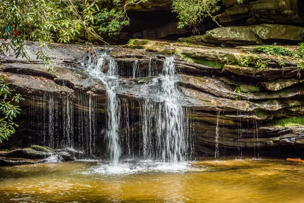 Scenic views along hiking trailat table rock mountain south caro — Stock Photo, Image