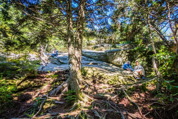 Natuur trail scènes naar Calloway piek noorden Carolina — Stockfoto