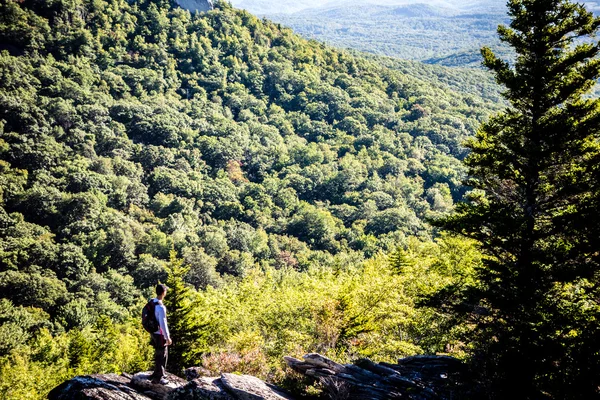 Přírodní stezka scény na vrchol Calloway severní Karolína — Stock fotografie
