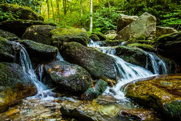 Naturlehrpfad zum Calloway Peak North Carolina — Stockfoto