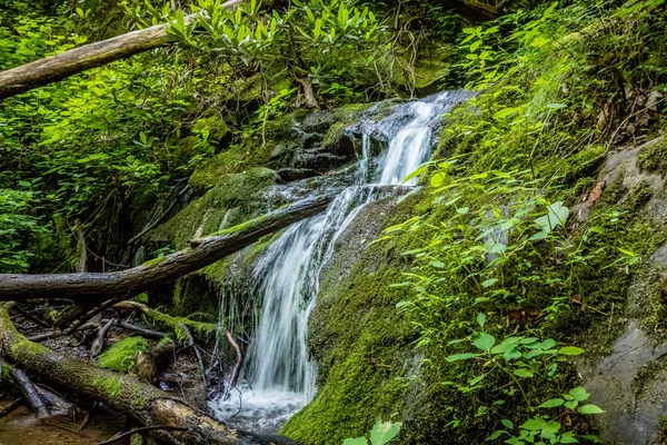 Scenes along appalachian trail in great smoky mountains — Stock Photo, Image